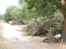 Foto 4 - La CHD actúa en las márgenes del río Tormes a su paso por Almenara 