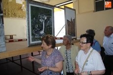 Foto 6 - Cerca de 400 personas celebran el fin del curso de gimnasia de mantenimiento