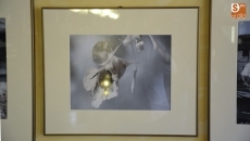 Foto 4 - Antonio Pérez Ruano muestra su mirada a través de la cámara en 'Obsesión'