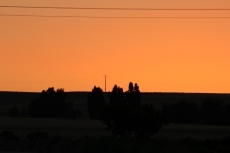 Foto 5 - En la tarde roja, la cigüeña