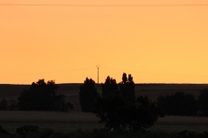 Foto 4 - En la tarde roja, la cigüeña