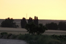 Foto 3 - En la tarde roja, la cigüeña