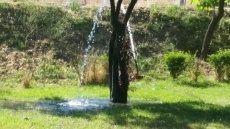 Foto 4 - Quejas por la forma de regar el Parque del Valle de San Martín