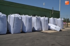 Foto 3 - El campo de césped artificial ya luce en todo su esplendor