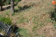 Foto 3 - 1Foto: Los restos del botellón del viernes y el sábado