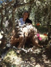 Foto 5 - El Trofeo de Tiro con Arco Julián Martín reunirá a más de 100 participantes