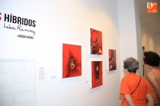 Foto 3 - Heleci Ramírez expone su visión de la tecnología como 'alimento social'