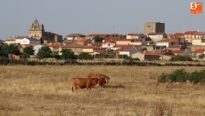 Foto 5 - “...No es justo que los vecinos estén pagando impuestos para mantener una ganadería”