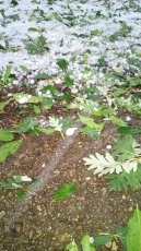 Foto 4 - El granizo cubre de blanco varios municipios de la Sierra