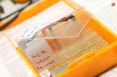 Foto 3 - Paula Álvarez y Ana Cividanes muestran el mundo oculto de las algas del Ártico