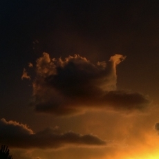 Foto 4 - 'Cuando el cielo habla'