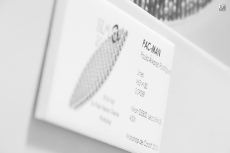 Foto 6 - Expertos internacionales en algas marinas concluyen su encuentro con visitas a la provincia