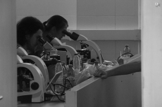 Foto 5 - Expertos internacionales en algas marinas concluyen su encuentro con visitas a la provincia