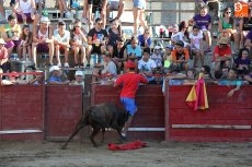Foto 5 - Tarde muy taurina para celebrar el día del Apóstol