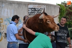 Foto 5 - Carnavaldeltoro.es hace entrega de la cabeza de ‘Comedor’