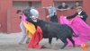 Foto 2 - Éxito rotundo y triunfos desiguales en el festival taurino de Alaraz