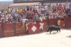 Foto 2 - Buen primer encierro de las fiestas acompañado de mucho público