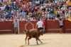 Foto 2 - Multitudinario primer encierro con erales de Santiago López-Chaves