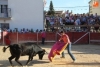 Foto 2 - Los festejos taurinos cobrarán aún mayor protagonismo en las fiestas de la Virgen del Árbol