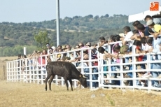 Foto 5 - Dos colleras mirobrigenses encabezan la puntuación del Intercomunitario