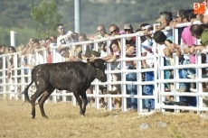 Foto 4 - Dos colleras mirobrigenses encabezan la puntuación del Intercomunitario