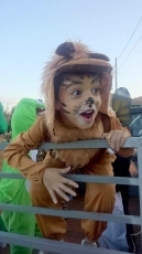 Foto 3 - El desfile de carrozas llena de colorido y animación las calles