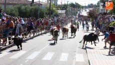 Foto 6 - Las peñas volverán a ser las protagonistas en las fiestas de San Roque