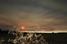 Foto 4 - El humo del incendio en Sierra de Gata se aprecia en toda la provincia