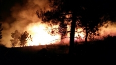 Foto 4 - Las rachas de viento complican las labores de extinción del incendio que afecta a Cáceres y...
