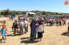 Foto 4 - La calidad se impone a la cantidad en la Feria Ganadera de Peralejos de Abajo