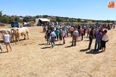 Foto 3 - La calidad se impone a la cantidad en la Feria Ganadera de Peralejos de Abajo