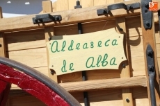 Foto 6 - Alfonso Santos, el don de dar vida a la madera