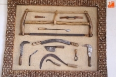 Foto 4 - Alfonso Santos, el don de dar vida a la madera