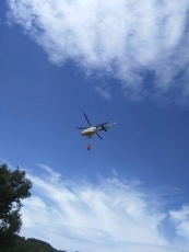 Foto 3 - Extinguido un incendio en el cruce del municipio de Pinedas