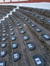 Foto 3 - Todo a punto para la Feria Taurina de Guijuelo 