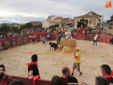 Foto 5 - Ayuntamiento y peñas recuperan las vaquillas en las fiestas de agosto