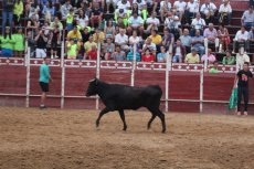 Foto 6 - Puerta grande para Álvaro Montes y Ginés Cartagena en Cantalpino