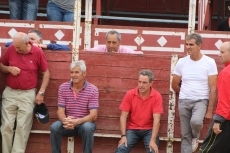 Foto 4 - La Guardia Civil ordena sedar a un toro fugado en el encierro campero de Cantalpino