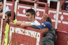 Foto 3 - La Guardia Civil ordena sedar a un toro fugado en el encierro campero de Cantalpino