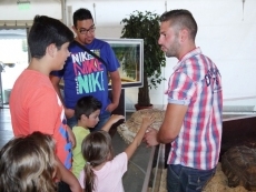 Foto 6 - El domingo concluye la exposición para visitar varios animales reptilianos