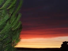 Foto 3 - Atardecer en Villoria