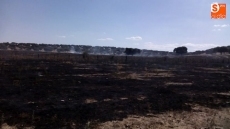 Foto 5 - Un incendio, ya extinguido, calcina 6,5 hectáreas en Beleña