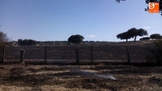 Foto 4 - Un incendio, ya extinguido, calcina 6,5 hectáreas en Beleña