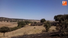 Foto 3 - Un incendio, ya extinguido, calcina 6,5 hectáreas en Beleña