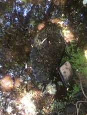 Foto 5 - APCRA denuncia que la sequía “está matando” los ríos sin que la Administración haga nada