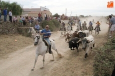 Foto 5 - Actos y eventos para todos los gustos y edades en las fiestas de la Virgen de los Caballeros