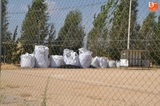 Foto 4 - El campo de césped artificial aún está por desvirgar