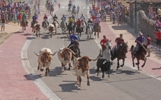 Foto 3 - Buen primer encierro de las fiestas acompañado de mucho público