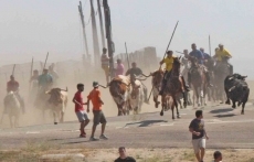 Foto 5 - Buen primer encierro de las fiestas acompañado de mucho público
