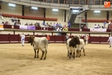 Foto 6 - El encierro que nunca falla 